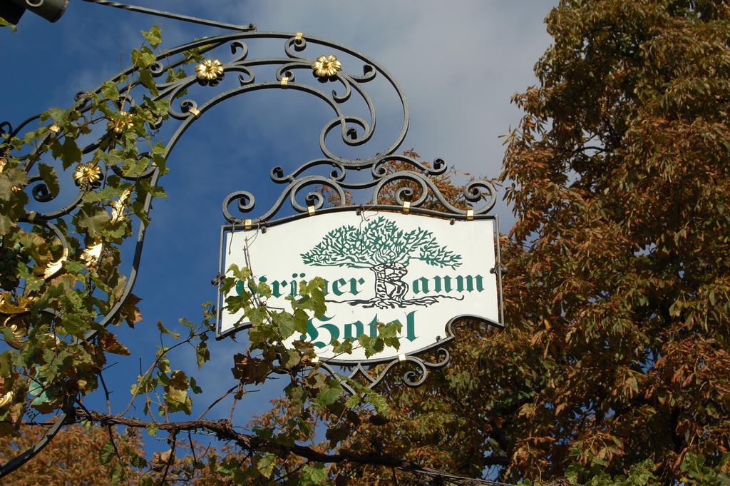 Hotel Gruener Baum Bretzenheim Buitenkant foto